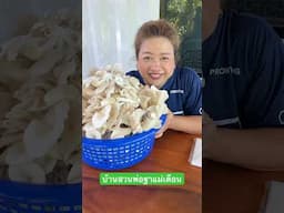 เก็บเห็ดค่ะ🍄‍🟫🍄‍🟫
