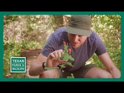 TPW Trailer - Episode 8, Season 40