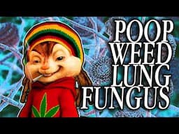 Poop Weed Lung Fungus - 1001 Ways to Die