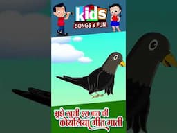 આખું ગીત જોવા માટે ઉપરની લાઈન ટચ કરો #koyaliya