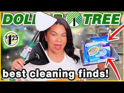 DOLLAR TREE Cleaning Products That Will SAVE YOU MONEY in 2024!