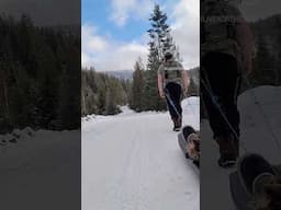 Winter workouts #sleddog #northidaho