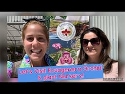 Nursery Visit to Ecuagenera! Let’s shop for orchids! Apopka Florida