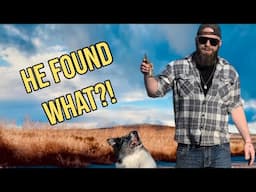My Dog Found a Large Animal Bone!! | Wyoming Wilderness
