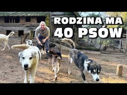 Rodzina ma 40 psów rasy Alaskan Husky - Republika Ściborska - Biegnący Wilk cz.  3