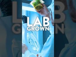 From The LAB To The tank