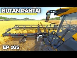 HARVEST IS BACK! | Farming Simulator 25 - Hutan Pantai | Episode 165