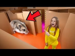 Nastya dan hamster melarikan diri dari labirin kardus