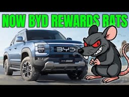 BYD is rewarding rats & snitches now | Auto Expert John Cadogan