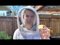 Second Inspection Day 13 & Hive Maintenance ~ how to start beekeeping ￼