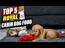 Top 5 Best Royal Canin Dog Foods: Tailored Nutrition for Every Dog!