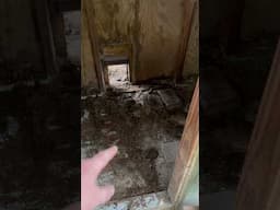 Flex seal chicken coop floor 8 years later