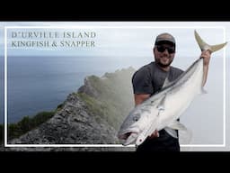 D'Urville Island Kingfish & Snapper