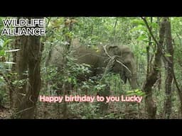 Lucky birthday