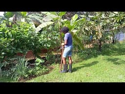 Today In The Garden, Gardening After Rain.
