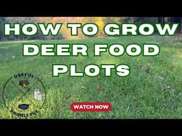 Deer Food Plots | Useful Knowledge