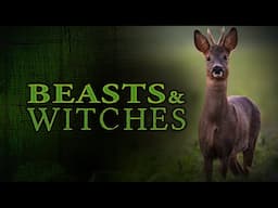 Beasts & Witches: Hidden Life In The Meadow #animals #folklore #stories #4k