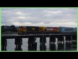 DCs 4853 and 4594 - An Extremely Rare visit to Tauranga ~ 03/06/2025 (HD)