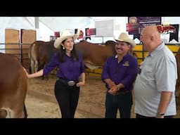 Genética de Élite en Ganado Brahman Rojo y gris 🔥 | Huastecas Ranch part.2