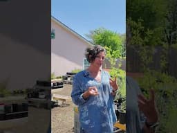This Texas Native Plant Survives on Just One Watering