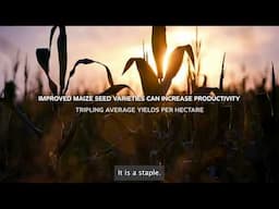 Bayer Opens Seed Processing Facility in Kabwe, Zambia