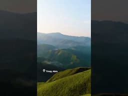 LOVE Heights
