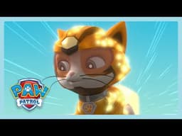 Quickly Stop The UFO | Paw Patrol | Wildbrain Little Jobs