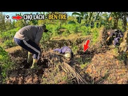 Ở Một Địa Điểm Cũ, Sau 2 Năm Lại Xuất Hiện Một Cặp Rắn | TGSB #1141