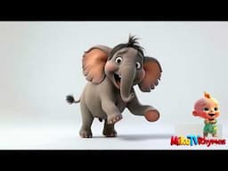 El Baile del Elefante y el Gato
