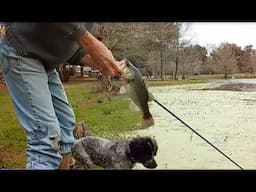 The Fishing Hole; Trail Cam Video