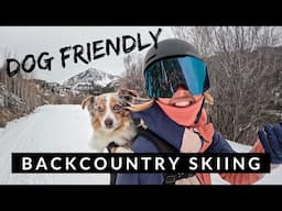 WINTER VLOG | Dog-friendly backcountry skiing! Layering tips + Adventure Vlog