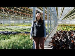 PETITTI | A Behind-the-Scenes look at Casa Verde Greenhouse 2025