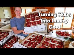BULK Canning 72lbs of Strawberries | Unique Jams, Syrup & More!