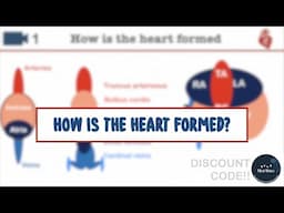 How is the Heart formed? | Your MedSpace sample 📹 + Discount Code!