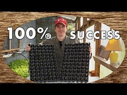 My Entire Seed Sowing Process