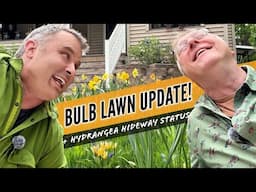 Bulb Lawn in Bloom! + Hydrangea Hideaway & Garden Updates