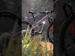 The details on the new Spectral AL 😍#SpectralAL #MyCanyon #CLLCTV
