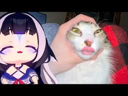 Shylily Reacts To Cats With No Brain