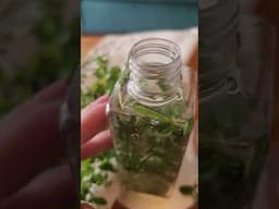 ¿Te invaden los mosquitos? 🦟 🦟 🦟 ¡Barrera antimosquitos natural!