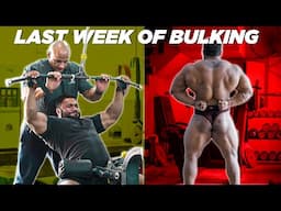 Last Week Of Bulking|| Training With Guru Ji|| High Intense Workout|| Back & Biceps