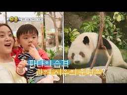[572회 예고] 홍콩에서 만난 뜻밖의 습격! [슈퍼맨이 돌아왔다/The Return of Superman] | KBS 방송