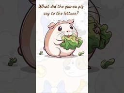 Pet Jokes