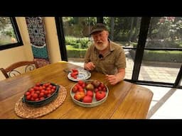 Tomato Review: 6 Varieties Compared
