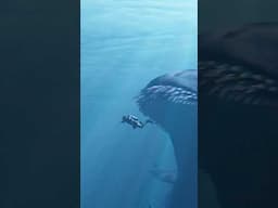 Bio Accurate Bloop #bloop #thebloop #thalassophobia