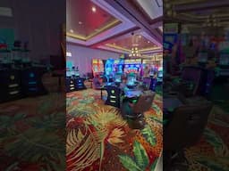 Watch This Before You Stay at EL Cortez in Las Vegas! #lasvegas #vegas
