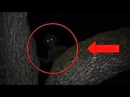 TERRIFYING Cryptids Caught On Camera Part 5