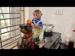 Smart monkey abi makes carrot smoothie with mom