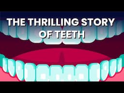 How Teeth Grow, Break, and Get Saved – The Full Story!
