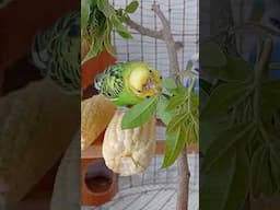 😄😄