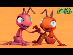 ANTIKS LOSE THEIR MINDS! | Antiks Stories and Adventures for Kids | Moonbug Kids